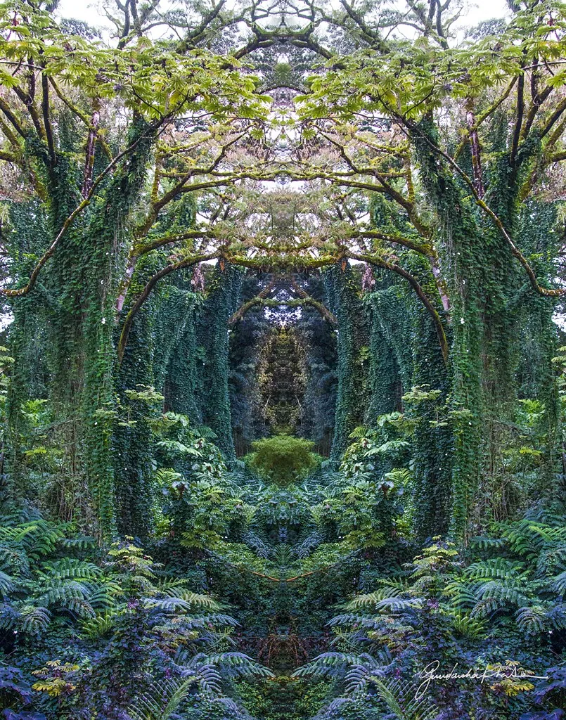 Cathedral — a mirrored archway of green