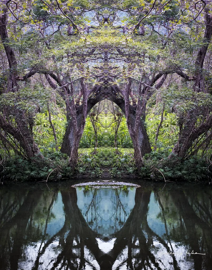 Waipio Valley — a mirrored valley and its reflection